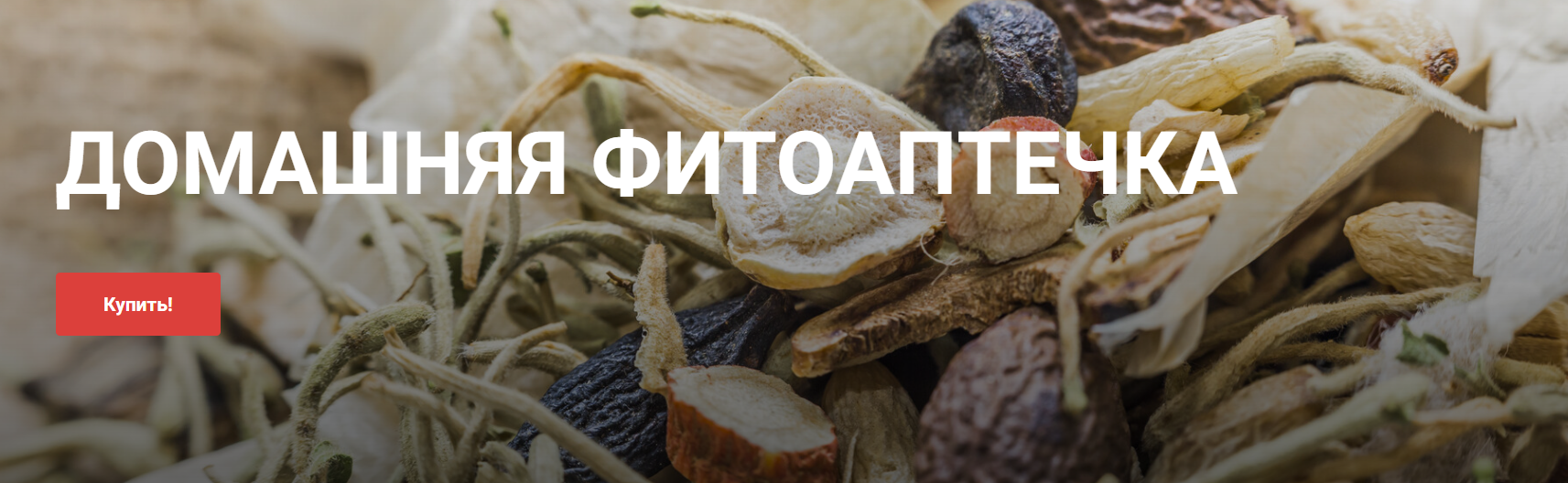 [akademiyatkm.ru] Ольга Евдокимова ― Домашняя фито_0.png